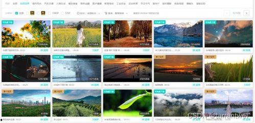 火爆爆料视频素材网站大全,火爆爆料视频素材网站大全盘点